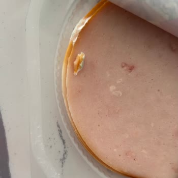 Namet Hindi Füme Ürününde Küf Ve Sağlık Endişesi