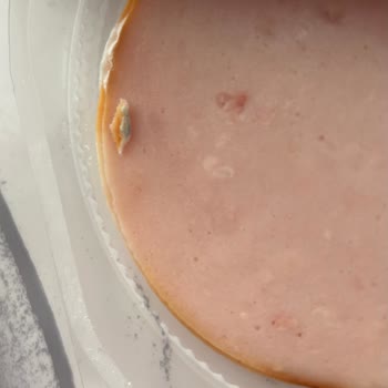 Namet Hindi Füme Ürününde Küf Ve Sağlık Endişesi