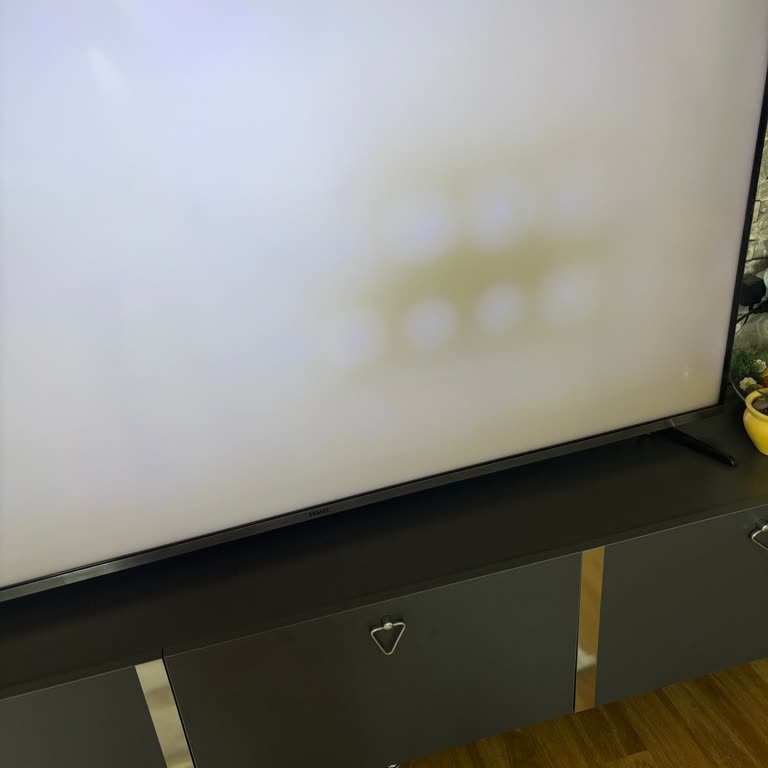 Vestel TV’de Ses Uğultusu Ve Renk Kayması, Servis Çözüm Sunmuyor