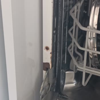 Küflenmiş Bulaşık Makinesinde Hijyen Sorunu Nedeniyle Değişim Talebi