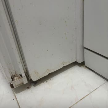 Garanti Dışı Üretim Hatası: Buzdolabımda Boya Kabarması Ve Paslanma