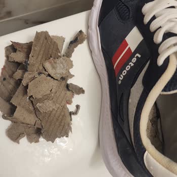 Ayakkabı Tabanı Kağıt Kartondan, Şaka Mı?