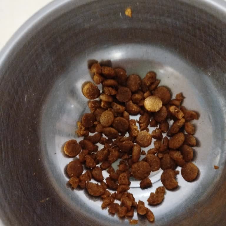 Farmina N&D Cat Food Looks and Smells Different Than Previous Bags