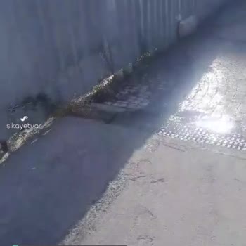 Kağıthane Belediyesi Pis Koku Ve Çöp Sorunu