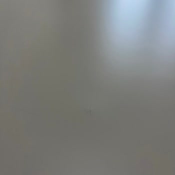 Teslim Gecikmesi Ve Ürün Kusurları Nedeniyle Tam İade Talebi