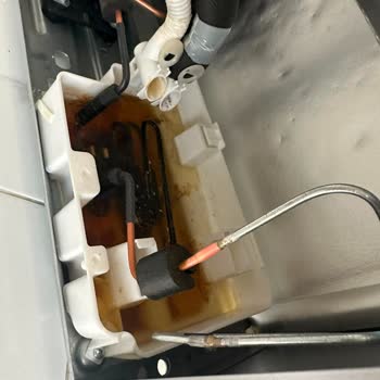 Garanti Kapsamındaki Buzdolabı Kokusu Ve Kurt Sorunu Ücretsiz Değişim