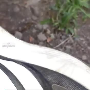 Adidas Ayakkabı Sadece Günlük Kullanımda Giymeme Rağmen Bu Yıpranmalar Oluştu