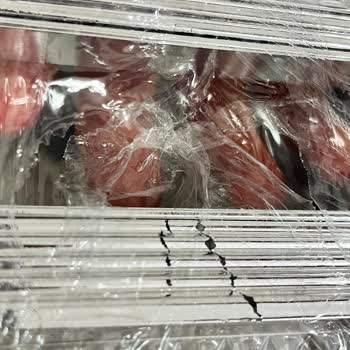Trendyol Kargo Teslim Edilmedi Ve Avize Kırık Geldi