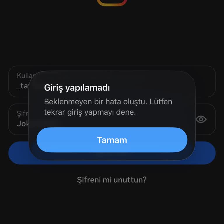 Instagram Hesabımın Yanlışlıkla Silinmesi Ve Giriş Hatası Nedeniyle Acil Aktivasyon Talebi