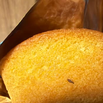 Eti Topkek’te Ölü Böcek Bulunması Hijyen Ve Gıda Güvenliği İhlali