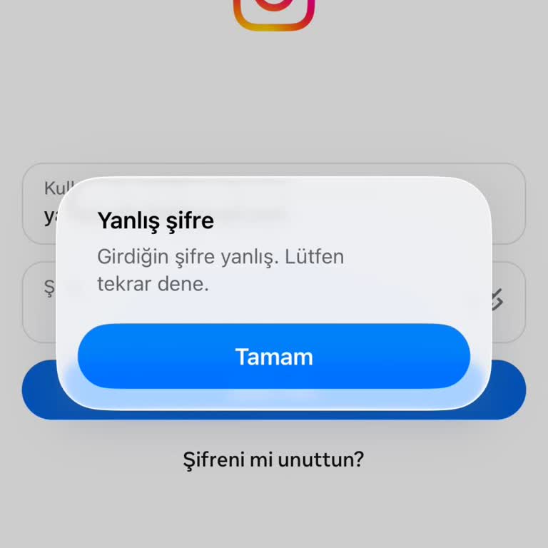 Hesabım Açıklamasız Topluluk Kuralı İhlali Nedeniyle Kalıcı Olarak Kapatıldı