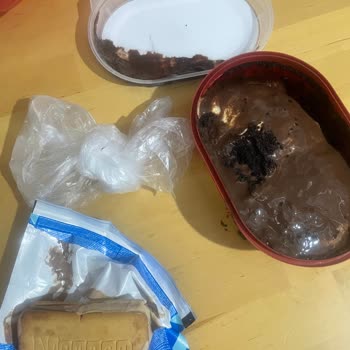 Erimiş Dondurmalar Teslim Edildi Ve İade İstiyorum