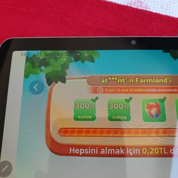 Temu Farmland Oyununda Günler Çifte Azaldı, 99. Seviyede Kaldım Ve Destek Yanıtı Yetersiz