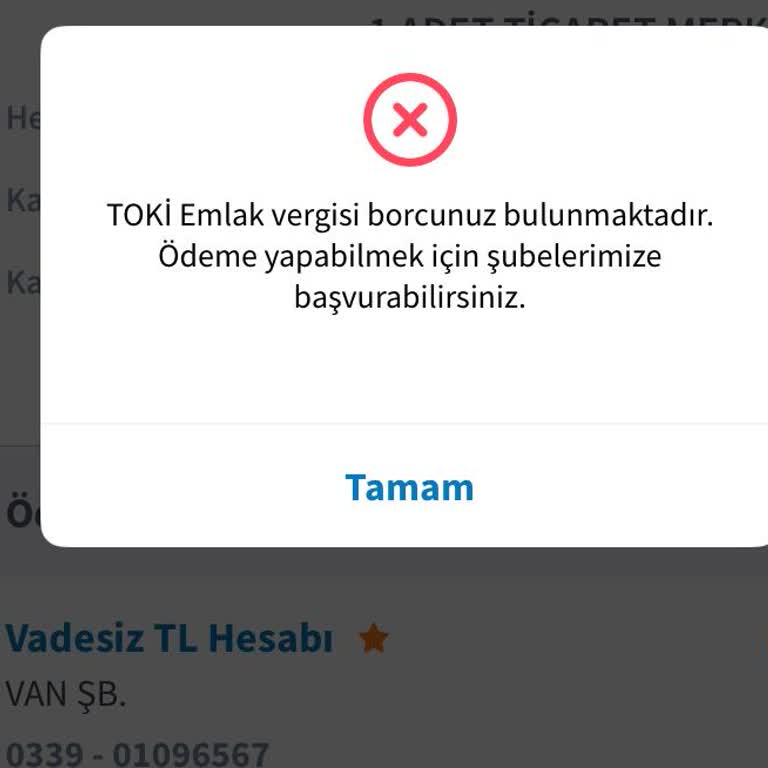 Halkbank Ve TOKİ Arasındaki Sistemsel Hata Taksit Ödememi Engelliyor