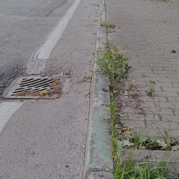 Bisiklet Sürerken Çukurda Takla Atarak İki Kol Kırıldı Ve İşe Gidemiyorum