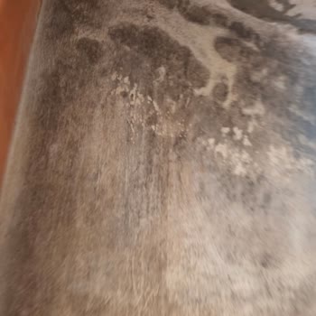 Su Kaçağı Hasarı Gecikmeli Açılınca Kapsam Dışı Tutulması