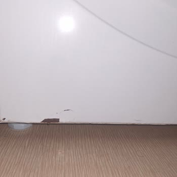 Profilo Çamaşır Makinesinde Hızlı Boya Çözülmesi Ve Paslanma, Garanti Kapsamı Talebi