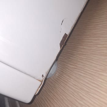 Profilo Çamaşır Makinesinde Hızlı Boya Çözülmesi Ve Paslanma, Garanti Kapsamı Talebi