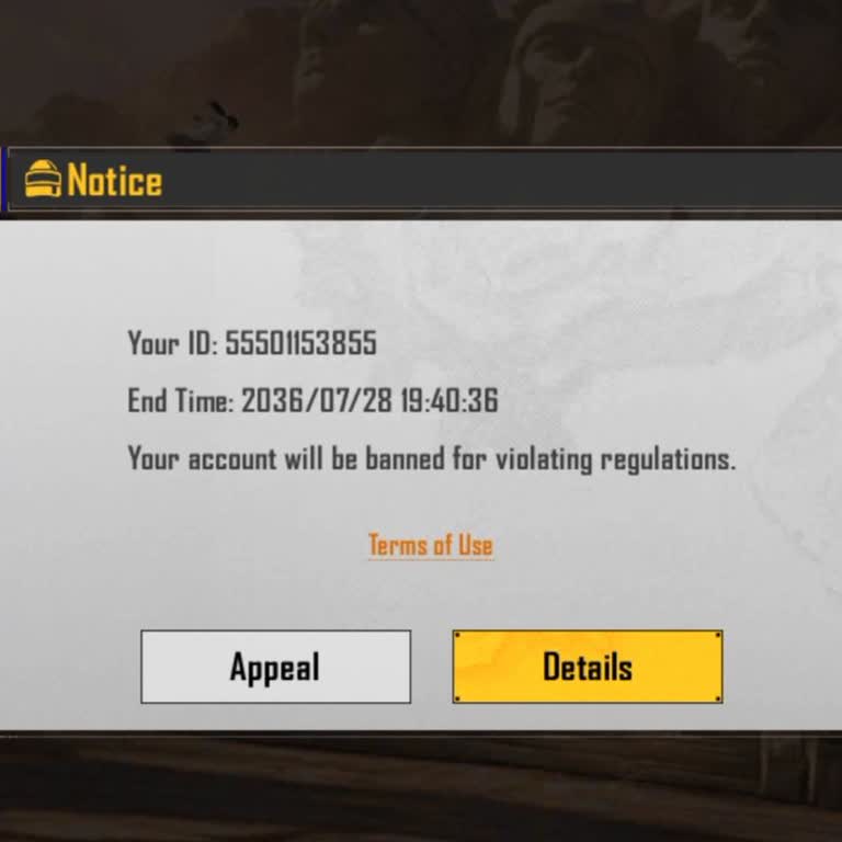 BGMI 10 Year Ban Issue
