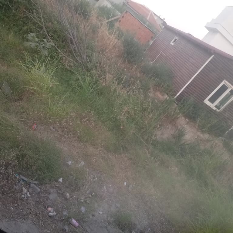 Rötarlı Kalkış, Peron Eksikliği Ve Güvensiz Şoför Değişimi Nedeniyle Mağdur Oldum