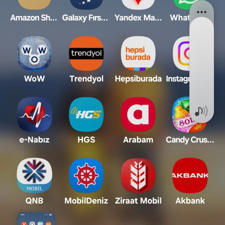 Ziraat Mobil Uygulamasında Sunucu Cevap Vermediği İçin Giriş Yapılamıyor