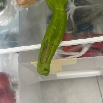 Küflü Ürünler Gönderildi Ve İade Talebim Reddedildi