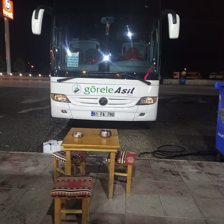 Görele Asil Seyahat Firması’ndan Yaşlı Yolculara Yanlış Peron, Koltuk Hatası Ve Haksız Bagaj Ücreti