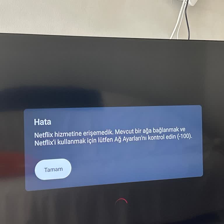 Netflix Bağlantı Hatası (-100) Ve Ürün Değişim İsteği