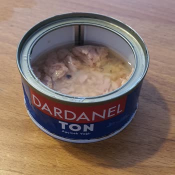 Dardanel Ton Konservesinde Böcek Parçacıkları Bulundu Güvenimi Sarstı