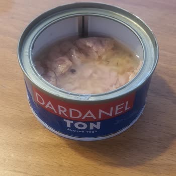 Dardanel Ton Konservesinde Böcek Parçacıkları Bulundu Güvenimi Sarstı