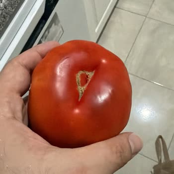 Bozuk Kavun Ve Domatesler İçin İade Ve Açıklama Talebi