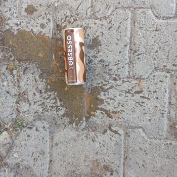 Obsesso Latte’te Topaklanma Ve Hijyen Sorunu