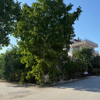 Eki aç
