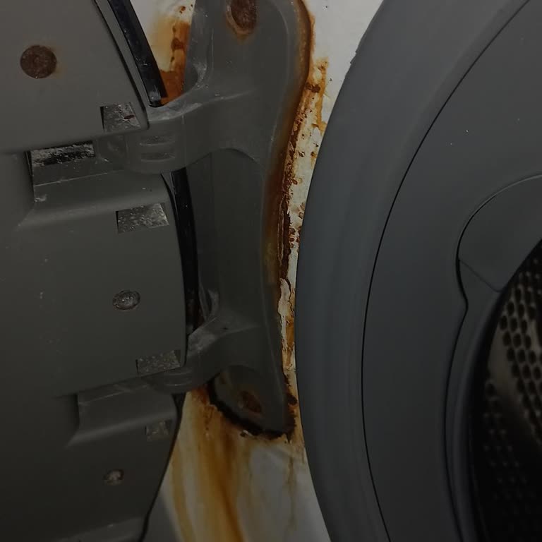 Garanti Süresindeki Çamaşır Makinesinde Aşırı Paslanma Ve Haksız Servis Ücreti Talebi