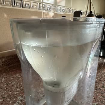 Brita Style XL Sürahimin İç Haznesindeki Çatlak İçin Ücretsiz Değişim Talebi