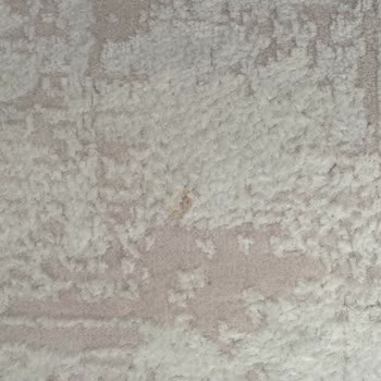 Halı Yıkama Hizmetinde Temizlik Yok, Personel Kaba Davranıyor