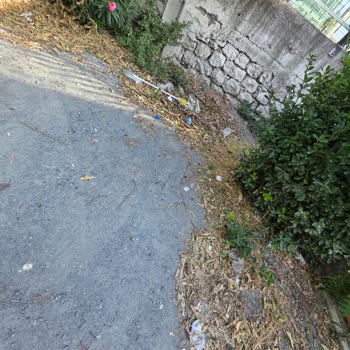 Kehribar Sokak’ta Çöp Toplanmaması Ve Temizlik Sorunları Sağlık Endişesine Yol Açıyor