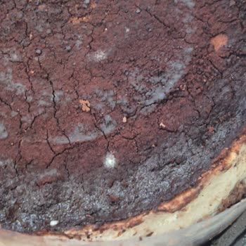 Şok Market'te Küflü Tiramisu Satışı Gıda Güvenliğini Sarsıyor