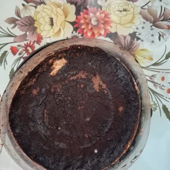 Şok Market'te Küflü Tiramisu Satışı Gıda Güvenliğini Sarsıyor
