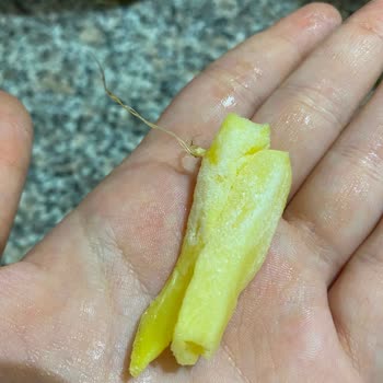 İnci Markalı Dondurulmuş Patatesinde Yabancı Madde