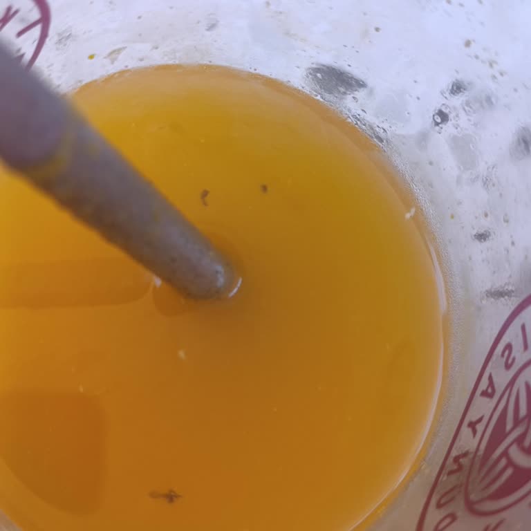 Kahve Dünyası’nda Böcekli Portakal Suyu Hijyen İhlali