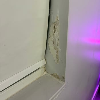 Airbnb'de Ağır Küf Kokulu Kirli Daire Şikayeti Ve İade Talebi