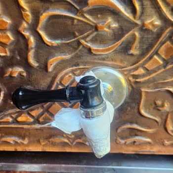 Kuşadası Tours Turunda Gıda Zehirlenmesi Ve Sağlık Sorunları