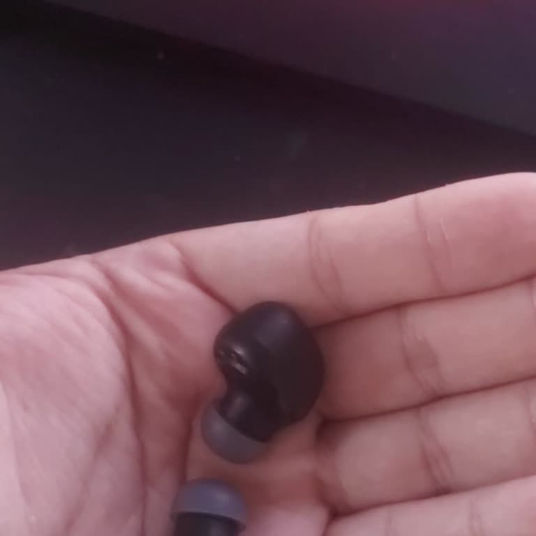 JBL Wave Buds 2 Modeli İçin Yedek Şarj Kutusu Talebi