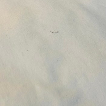 Hijyen Sorunları Ve Yanıltıcı Organizasyon Nedeniyle Tatilde Büyük Mağduriyet