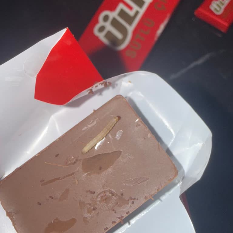 Çikolata Paketi İçinde Canlı Kurt Çıktı