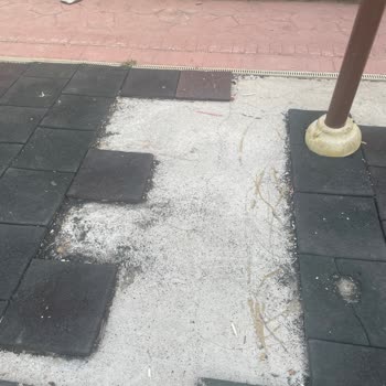 Çocuk Parkının Durumu ve İyileştirme Talebi