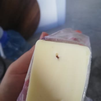 A101'de Bahçıvan Kaşar Peynirinde Yabancı Parça Bulunması