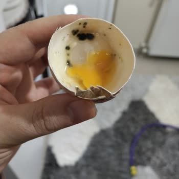 Organik Yumurta Bozuk Çıktı, Bebek Sağlığı İçin İade Ve Çözüm Talebi