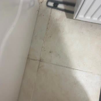 Eleman Yönlendir Temizlik Hizmetinde Kalitesiz Sonuç Ve Saygısız Müşteri İletişimi